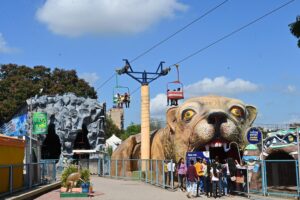 rakesh rajdev રાકેશ રાજદેવ navaratri 2022 photos